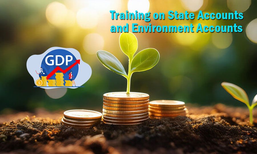 Training on State Accounts and Environment Accounts